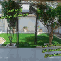 🌳🌳سماد اكسترا جرين 🌳🌳  معالجه. صفار الثيل في فصل الشتاء ومنشط عام. وحو...