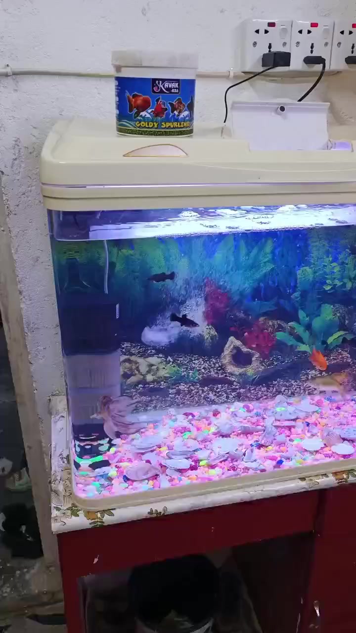 حوض سمك 60 ×80 كامل مابيه أي نقص سعر 100 وبيه مجال بسيط مكاني البصره حيانيه ***********
