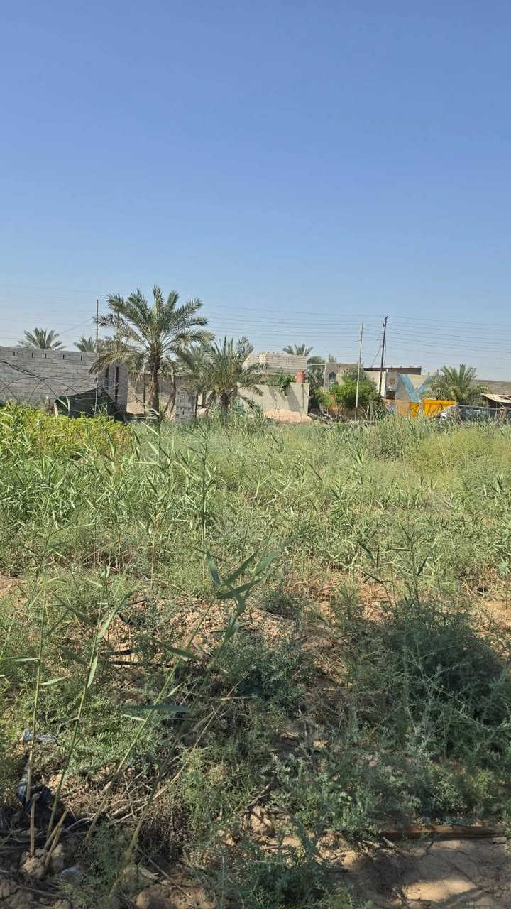 تقسيم جديد واسعار جدا مناسبه ومساحات مختلفه شكد تردون موجود سعر 200متر 20مليون وبيه مجال نوع العقار طابو مالك صرف زراعي عراقي سند 25 وعدنه 200متر على تبليط سعره 25 مليون العنوان بصره أبي الخصيب منطقه باب العريض تبعد على سوك أبو الخصيب جبير مايقارب 500متر الاستفسار اتصل ***********
