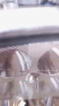 تايجر • ٢٠٢١ • اوراق اصولي