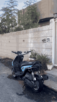 سكنس جبلي • كفاله عامه • حله قرب جسر بته