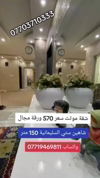 شاهين ستي • ١٥٠م • موثث