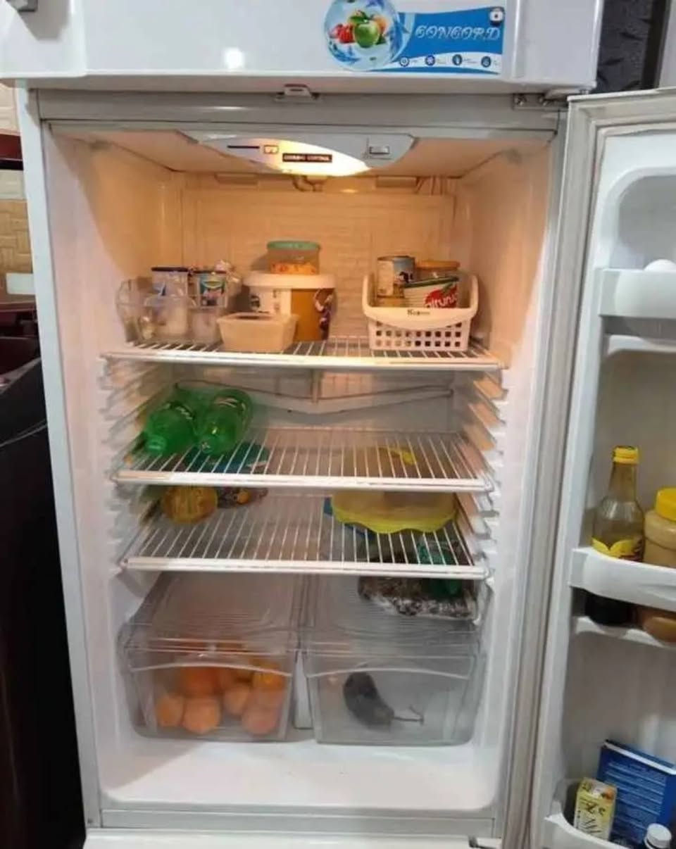 ثلاجه كونكورد لبناني حجم ٢٦قدم نضيفه وتشتغل على فحص للإستفسار الاتصال
+9647806868766


**إذا كنت صاحب هذا الإعلان وتريد حذفه لأي سبب، رجاءا أرسل رسالة إلى الدعم الفني**