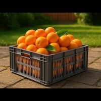 صندوق برتقال • توزيعات • بسماية