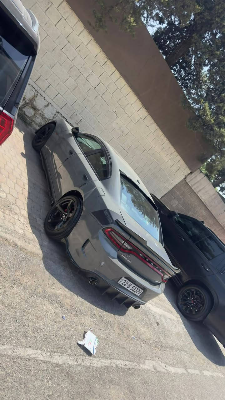 جارجر 18 خليجي وكالة هارلم كفالة عامة
ماشية 130 الف
فول لمتد السيارة
سيارة محدثة دايتونا
وغراضهة موجودة
مصروف عليهة هواية
غرفة دايتونا سعرهة 1000 دولار
بنيد اصلي ودعاميات 
 شوتة رياضي سعرهة 500 دولار
دركة RPM سعرهة 400 دولار
ويل رياضي 20
ادامة منضومة البانزين وسيرفز عام وصدر جديد
منضومة زنون
سبايدر رياضي
مازدات 2023
السعر 270
***********
بغداد السيدية
