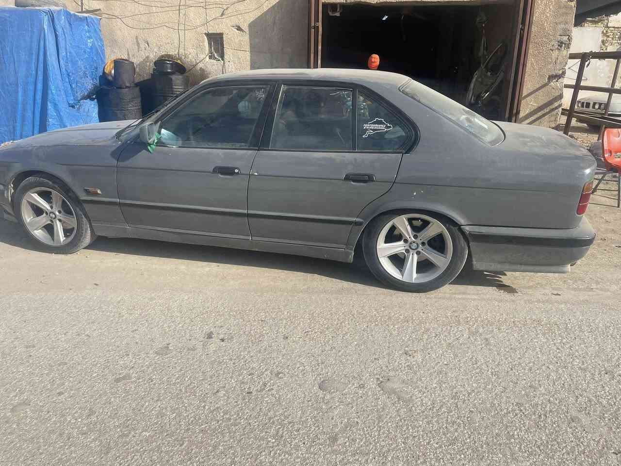 للبيع او المرواوس تخم ويل هامان  حجم ١٧توسايز مكاني بابل جبلة ***********
