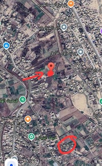 العلم • ١٢٥٠م • سند٢٥