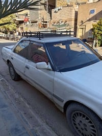 النجف • رقم كربلاء • الماني