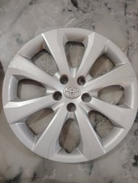 تخم كبات كورلا  سعرهن 50 مكان بغداد ابو غريب الزيتون 07711406066