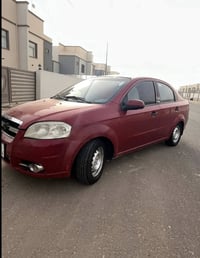 جوكر دولي • ٢٠٠٩ • رقم اربيل