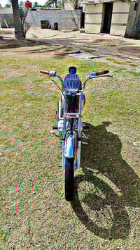 انتنس • مكفوله • ٢٠٢٤