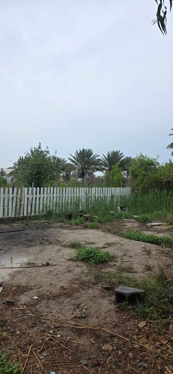 سلام عليكم ارض للبيع المساحة دونم ملك صرف المدائن منطقة التويثة خدمات كاملة ماء أسألة قرب شارع سيد علي للستفسار اكثر اتصل  ***********
