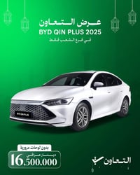 قين بلس • ٢٠٢٥ • بدون لوحات