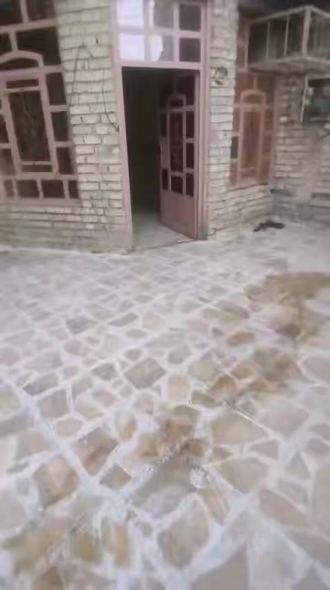 سلام عليكم بيت لإيجار منطقه الضباط مربع الذهبي يم الجسر الاستفسار عل الرقم غير متواجد عل فيس فقط اتصال ***********
