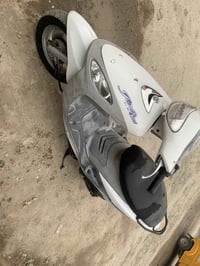 ماكس منغولي • اوراق كامله • مدينه صدر