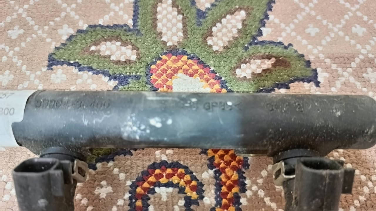 تخم نوزلات شجره كامله للبيع مال سيدونه 7 هيه ول راجع  السعر 100الف؛؛  ***********
