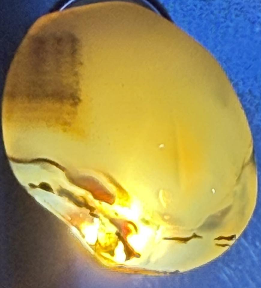 سلام عليكم للبيع كل حجر  وسعره التفاصيل خاص


**إذا كنت صاحب هذا الإعلان وتريد حذفه لأي سبب، رجاءا أرسل رسالة إلى الدعم الفني**