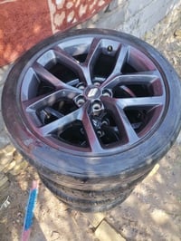 تخم ويلات حجم 20 نضيفات للبيع السعر 450 الف وبيهن مجال للتواصل 0773955...