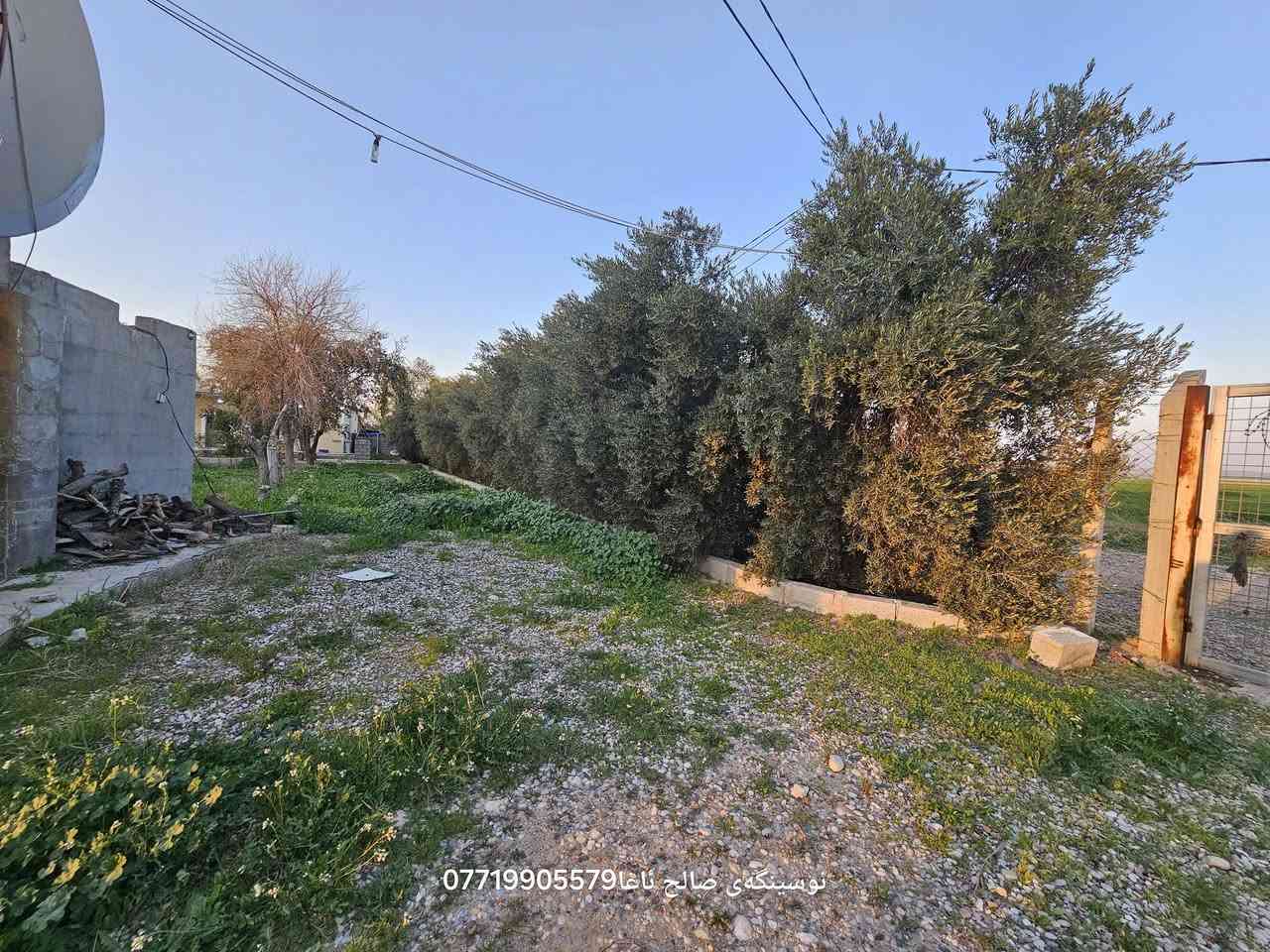 ...﷽ ...
  بسم لله الرحمن الرحیم 
ئەم جارە خانو باخیکی🏝🏡🏠 شازمان بوتان هێناوە مالی دوستە
خانوی سەب کونکریت
گەلەخانی لیە بو ئاژەڵ🐏🐑🐂🐓🪿
مەسبەح گەورە فول کاشیی

داری بەردار تەمەنی سەرەوەی ١٢ سال
لیمو سندی پرتقال هەنجیر  زەردەلو🍊🍇🍎همو میویکی لیە
بیری ارتوازی کاربا سەربەخو 

ناونیشان بەینی باریکە  ساح ئاغا 
زوریش هەرزانە 
مساحة 3  دونم 

بو زانینی نەرخ 💵 خالیک دانی
بو کرینو فروشتنی خانو  باخ زوی 
پیوندی بەم ژمارەوە  بەکەن📢📢
***********  یوسف  ☎️☎️

https://www.facebook.com/profile.php?id=100083460334231&mibextid=ZbWKwL
