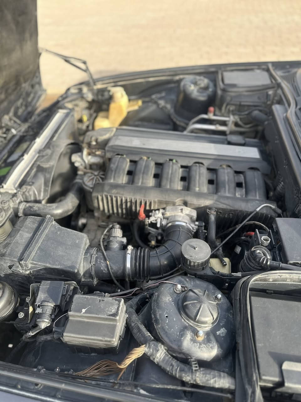 يا الله بسم الله 
بي ام 
موديل 1995 552 
كير ومحرك بالصندوق ترايها 200
تخم تاير جديد 
صدر امامي و خلفي جديد صار شهر من بدلته
السيارة فول وارد يابان تبريد ثلج تدفئة شغالة 
كشنات تدفئة 
لايت متحرك 
فتحة سقف 
جام بلادي كله مختم شعار BMW
السيارة ترايها ناعم جداً 
السعر ٧٥ ورقة 
رقم صلاح الدين 
العنوان صلاح الدين سامراء
 / ***********
***********
