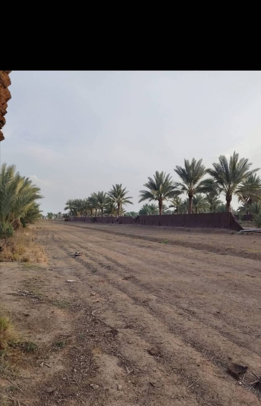 ارض زراعيه للبيع المساحه دونمين ونص طابو زراعي سند ٢٥ الموقع حله ابي غرق خلف مجمع الكوثر السكني خدمات موجوده مي تبليط كهرباء للستفسار ***********
