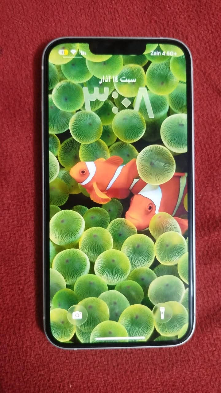 سلام عليكم 13 عادي بطاريه91 غير محفزه ذاكره 128 جهاز كله بلادي ما مبدل بي اي شي العنوان ناصريه المركز  رقم اتصال *********** سعره 550 وبي مجال
