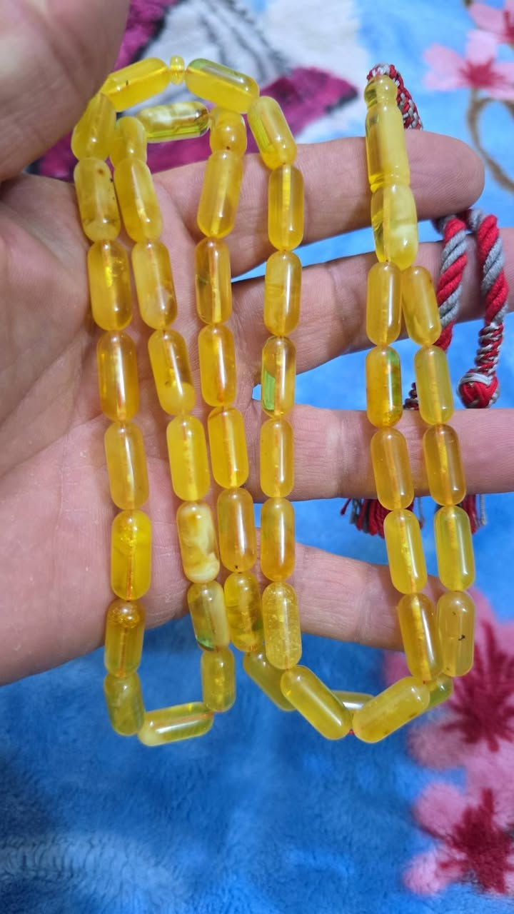 كهرب بولندي حر صنوبري منوصف الوزن 42 غرام عدد الحبات 47 حبه خاص موجود توصيل جميع المحافظات


**إذا كنت صاحب هذا الإعلان وتريد حذفه لأي سبب، رجاءا أرسل رسالة إلى الدعم الفني**
