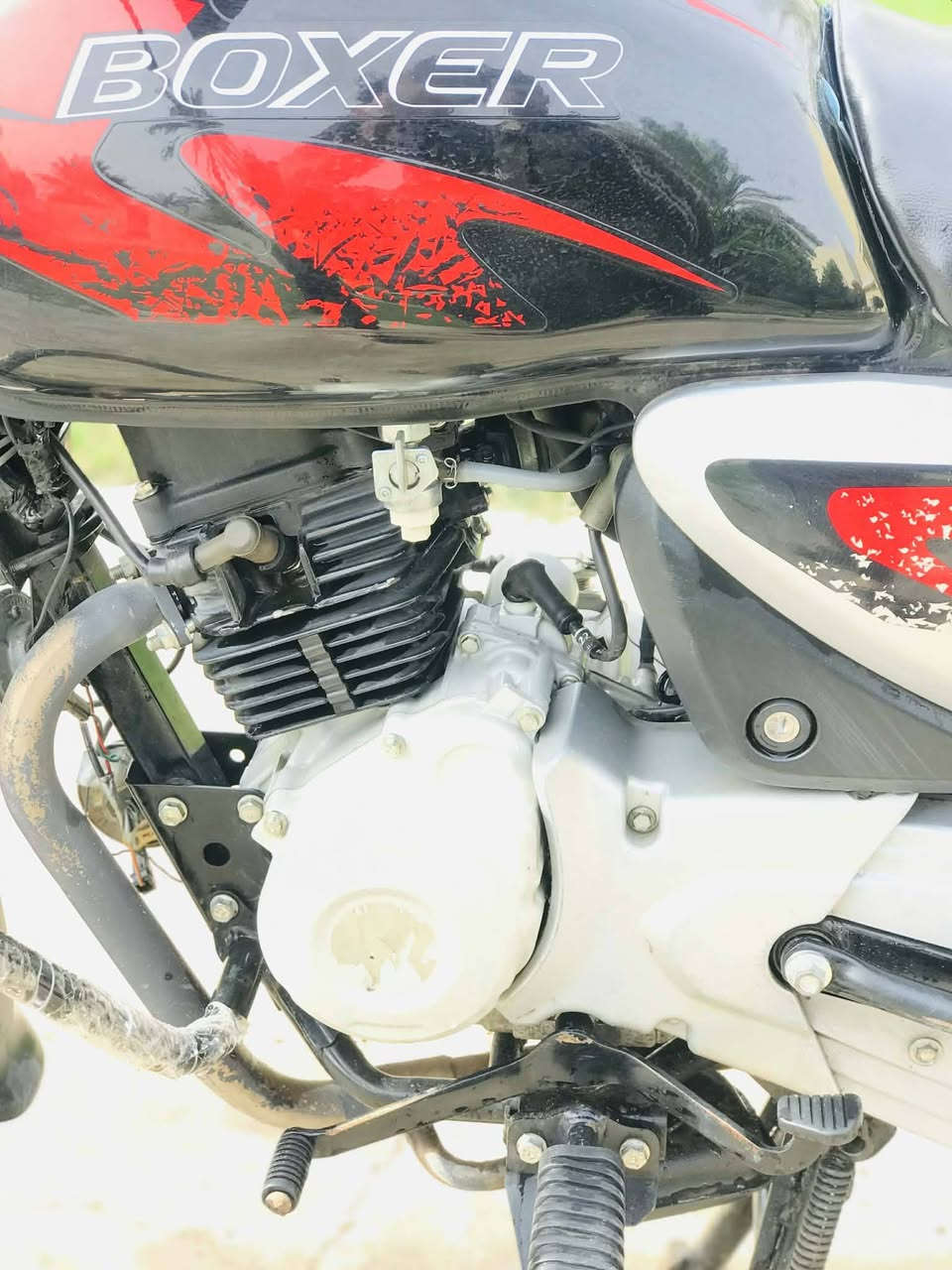 بوكسر جبلي موديل ٢٣
كفاله عامه رقم سنويه نكليزي تحويل ثاني يوم
العنوان بعقوبه
السعر خاص
***********
