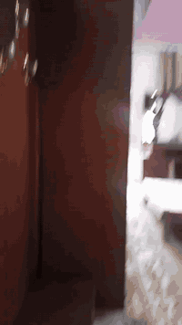 غرفه ٤٠٠بيه مجال مدينه الصدر الاورفلي ضرربسيط بيه ميز كومدي جربايه فقط


**إذا كنت صاحب هذا الإعلان وتريد حذفه لأي سبب، رجاءا أرسل رسالة إلى الدعم الفني**