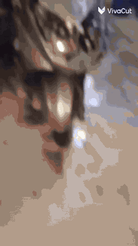 دراجة سكنس فحل دراجة نظيفة مكينة ناعمة نكرة سلف نقص كابريتر و هندر فقط السعر 500 و بيه مجال كهربائيات كله شغالة المكان دورة شارع 60
رقم واتساب ***********
