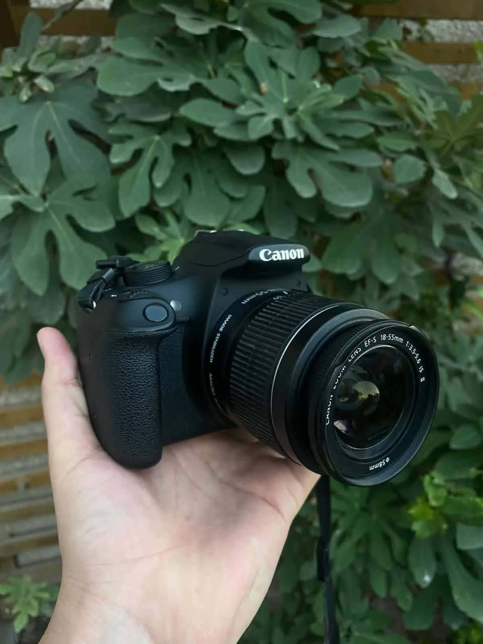 للبيع او مراوس كامرا كانون 1200 نضافة  100٪
ملحقات 
شاحنه
بطاريه
حزام
السعر 250 الف


**إذا كنت صاحب هذا الإعلان وتريد حذفه لأي سبب، رجاءا أرسل رسالة إلى الدعم الفني**