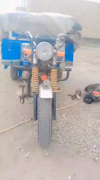 ستوته • ٢٠١٥ • اوراق