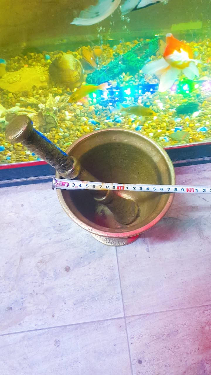 هاون قديم حجم كبير وزن اكثر من 6 كيلو


**إذا كنت صاحب هذا الإعلان وتريد حذفه لأي سبب، رجاءا أرسل رسالة إلى الدعم الفني**