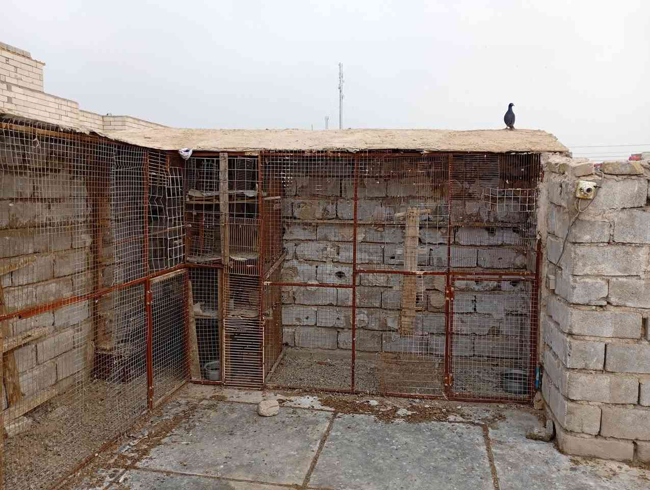 سلام عليكم واجهيات حمام للبيع بين الشامل ول شرجي 9 متر الارتفاع متر و 80 المكان  البصره الزبير الرشيدية الولاالسعر 100 تواصل +964 771 317 7280
