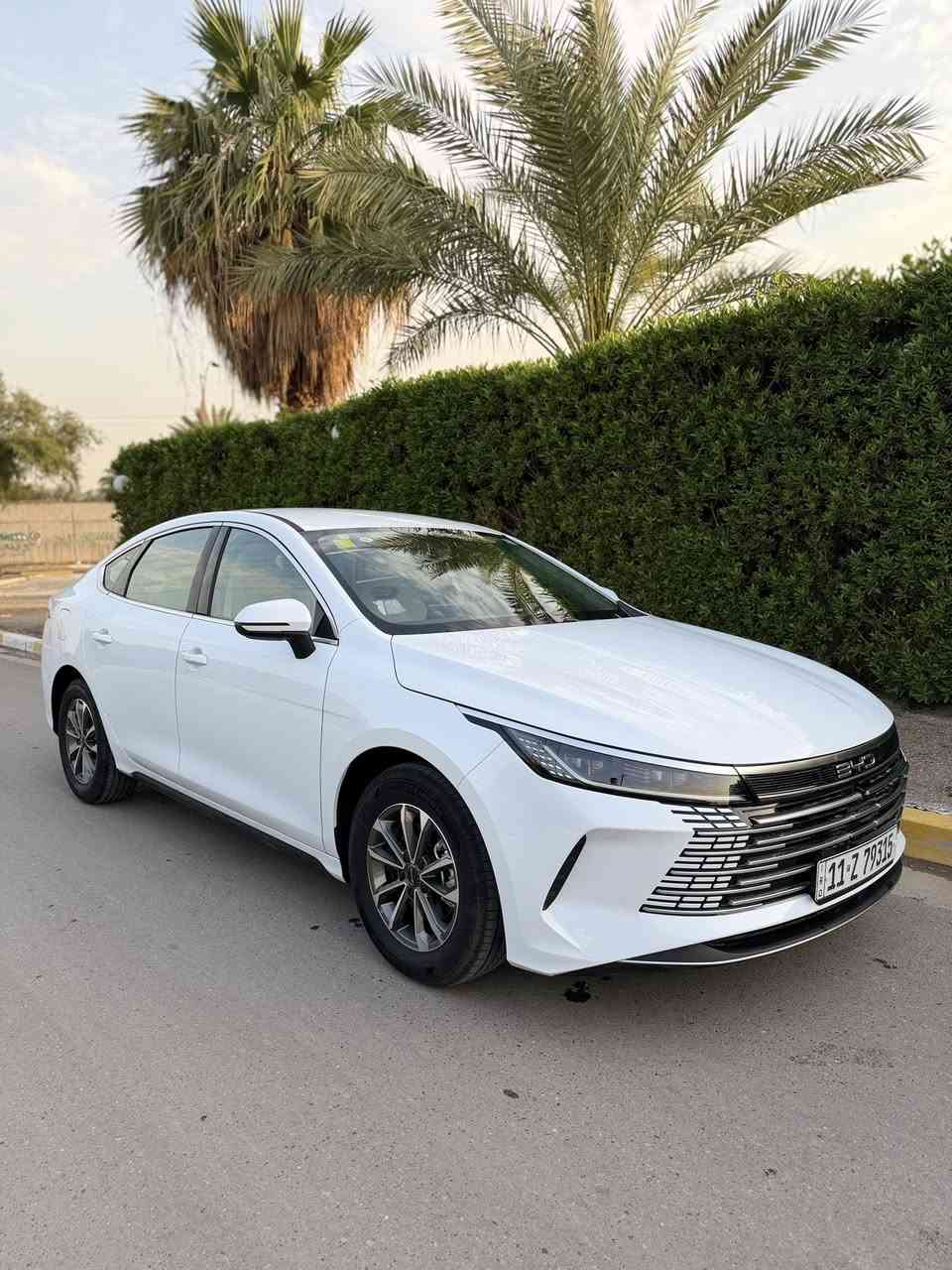 سلام عليكم
للبيع BYD 2025 دستروير

رقم بغداد باسمي

سياره بعده بوضع الزيرو

المسافه المقطوعه 11 الف الكلي 

داخل ابيض + تبريد قطعتين

مكاني بغداد /حي الجامعة

للاستفسار اتصل على الرقم *********** واتساب 

***********

