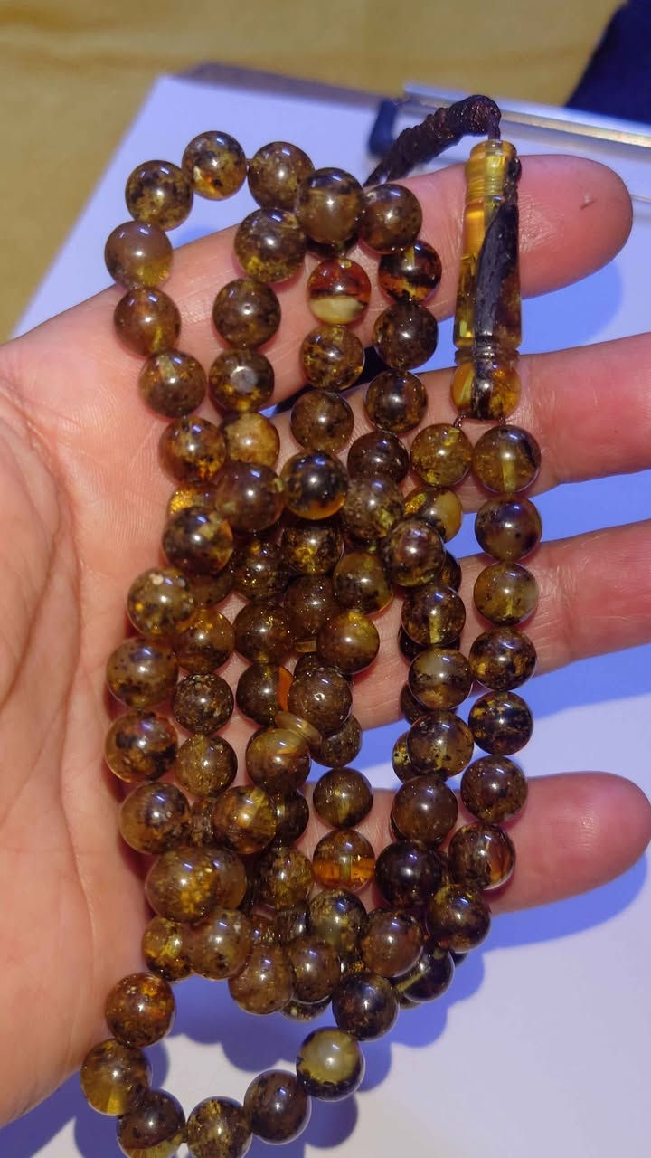 كهرب طبيعي روسي 101السعر75الف العنوان بغداد زعفرانية الهاتف *********** بغداد, العراق
