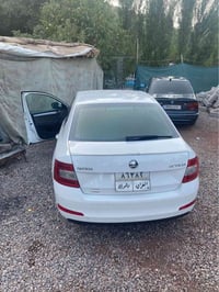 اوكتافيا • وجه مصبوغ • زاخو