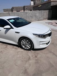 أوبتيما • وارد امريكي • ٣ قطع صبغ