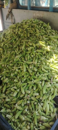 يوجد بانية الكيلو ١٥٠٠ موجودة بل ناحية وهاذة رقم التلفون 07731857265 و...