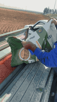 حنطة بنت المغلف • ٥ طن • كركوك طريق ليلان