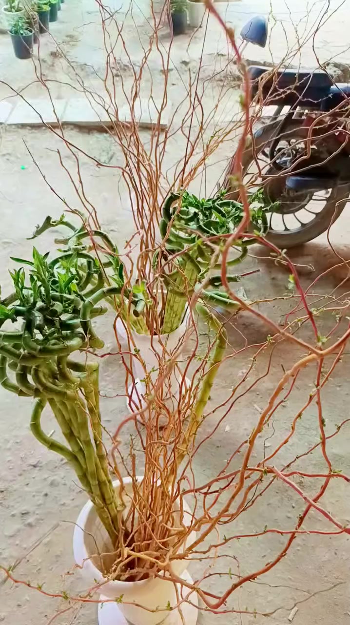 اللهم صل على محمد وال محمد توفر عصى موسى عصى لذهب جلد النمر  جوري الاسعار خاص 🥰🥰 @إشارة


**إذا كنت صاحب هذا الإعلان وتريد حذفه لأي سبب، رجاءا أرسل رسالة إلى الدعم الفني**