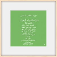 السادس العلمي • فيزياء رياضيات كيمياء • قضاء النصر