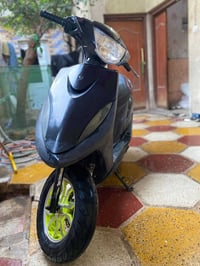 ماكس • بوشه 55 • حيانيه