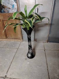 زرع اصطناعي • بغداد • سويب