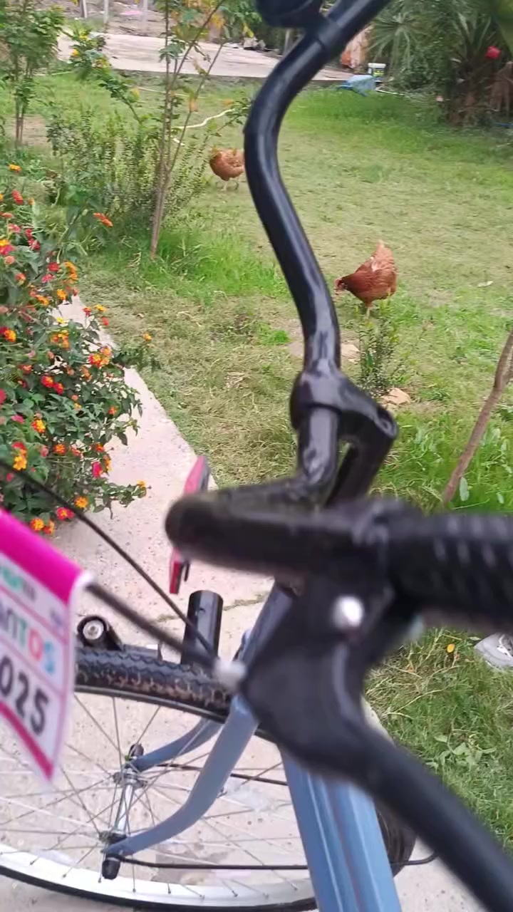 باسكل ٢٦ للبيع غراضه كامله مكان بابل يم جامعه مستقبل السعر ١٤٠ وبي مجال حك الجيه


**إذا كنت صاحب هذا الإعلان وتريد حذفه لأي سبب، رجاءا أرسل رسالة إلى الدعم الفني**