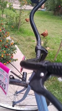 باسكل ٢٦ • غراض كاملة • بابل