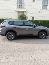 نيسان روغ 2024 • بدون صبوغ • ضربة امامية