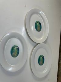 توصيل بغداد • ديكور