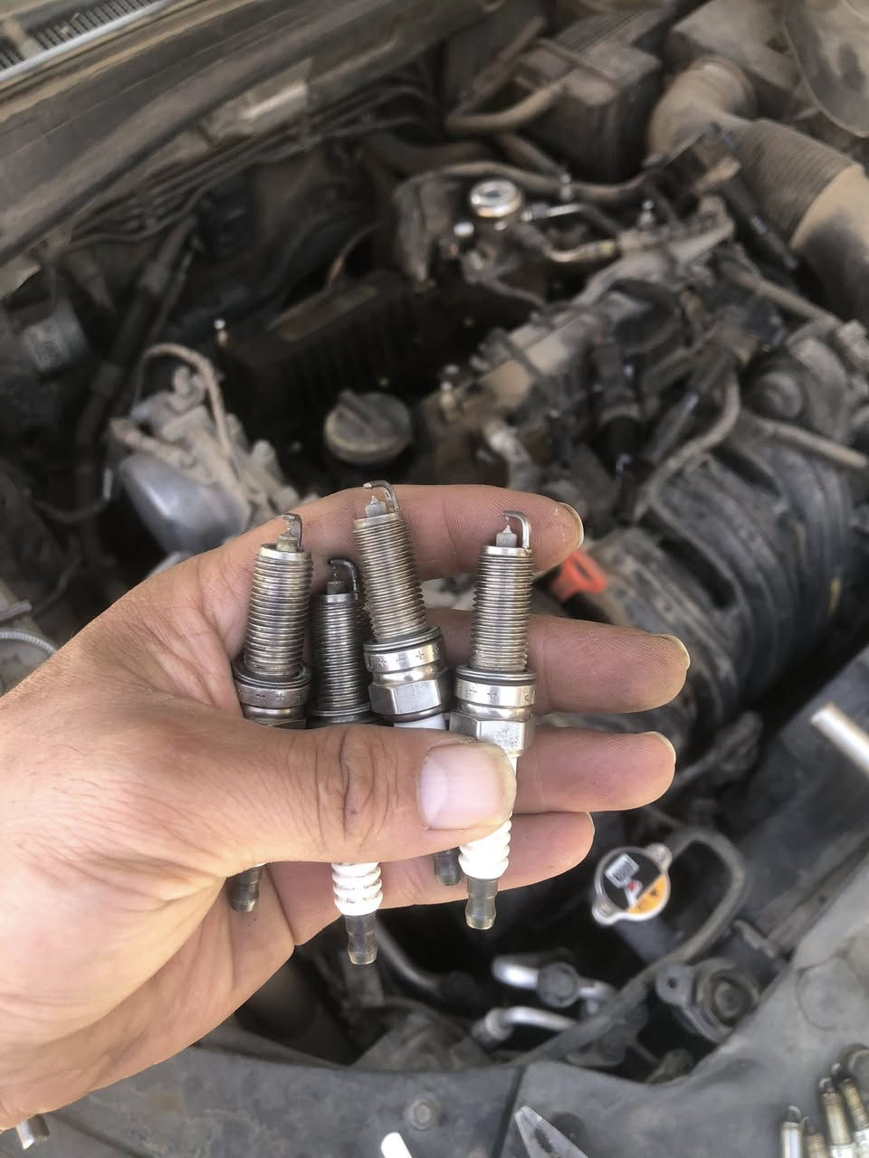 السلام عليكم شون شباب عسى كل بخير
اخوان  وصلن بلكات حاويه تفصيخ مكاين كلهن نظيفات لوك شرط ع شد اي خلل معجبنك يرجعن اني ممنون 

مكاين تيربو

مكاين 2400

مكاين خليجي 

البلك ع شد اي خلل اي شي معجبك لاتاخذه فتح شد تبديل كله مجاني بدون فقط سعر بلكات

مكاني بغداد سيديه قرب جامع الهدى

***********
