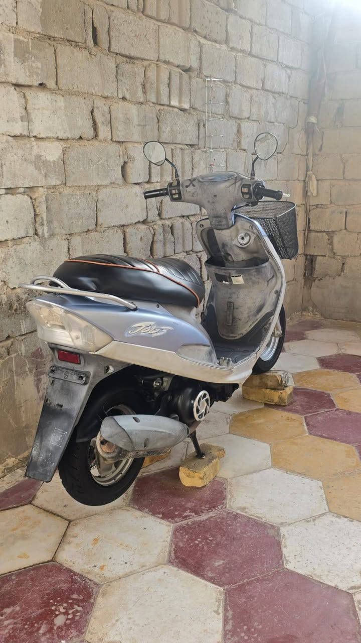 سلام عليكم ماكس منغولي كفاله عامه سعر 950 تواصل ماسنجر


**إذا كنت صاحب هذا الإعلان وتريد حذفه لأي سبب، رجاءا أرسل رسالة إلى الدعم الفني**